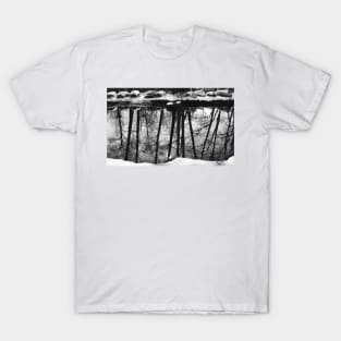 Winter Reflection T-Shirt